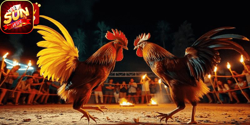 Các trận đấu diễn ra nhanh, kịch tính và có nhiều hạng cân